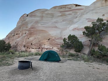 Campsite right up against the sandstone.