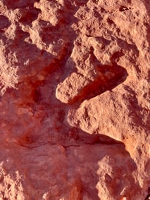 Dino footprints are a short hike from the campground.