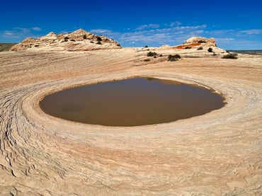 Pools of water are teeming with triops.