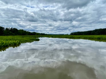 The sky reflected in Gordon Creek